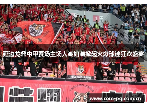 延边龙鼎中甲赛场主场人潮如潮掀起火爆球迷狂欢盛宴 延边龙鼎中甲赛场主场人潮如潮掀起火爆球迷狂欢盛宴
